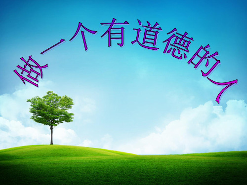 做一个有道德的人班队活动.ppt