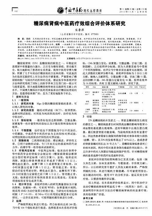 糖尿病肾病中医药疗效综合评价体系研究