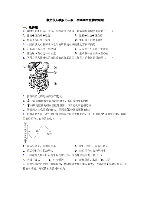 泰安市人教版七年级下学期期中生物试题题