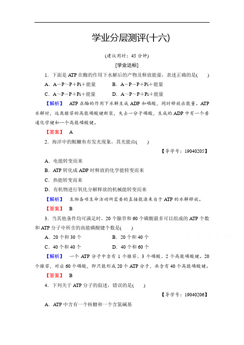 2018学年高中生物必修一学业分层测评 第五章 细胞的能量供应和利用 学业分层测评16 含答案