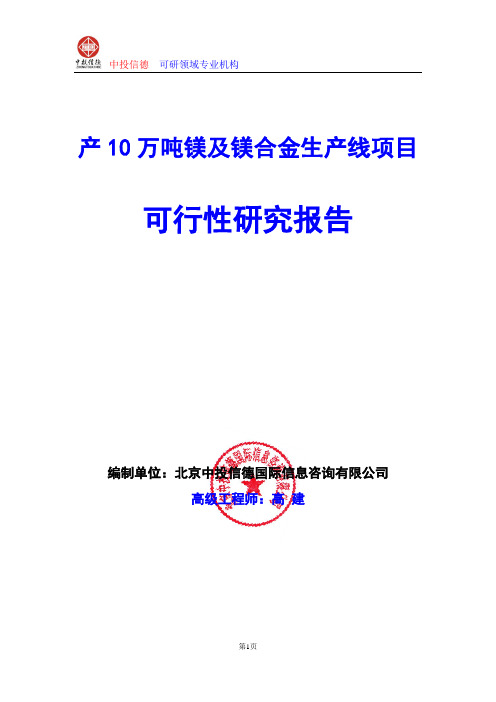 产10万吨镁及镁合金生产线项目可行性研究报告编制格式说明(模板型word)