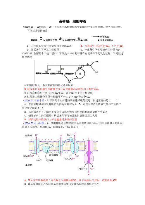 高中生物：易错题：细胞呼吸