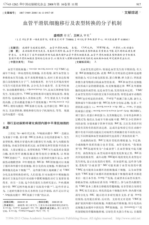 血管平滑肌细胞移行及表型转换的分子机制_盛晓赟