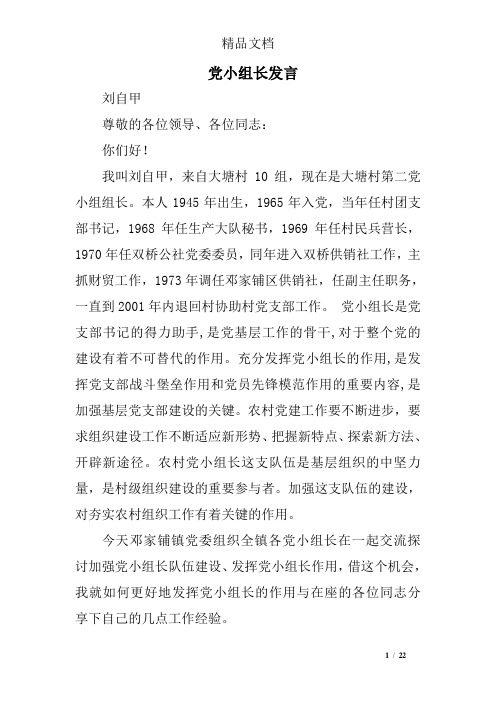 党小组长发言