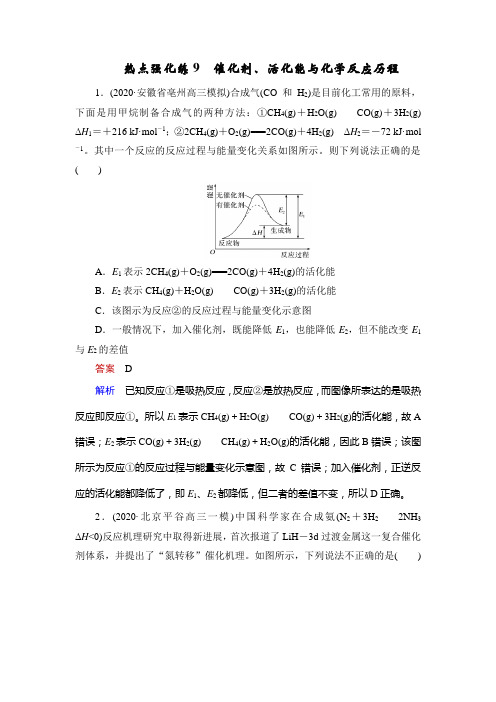 高中化学热点强化练9 催化剂、活化能与化学反应历程