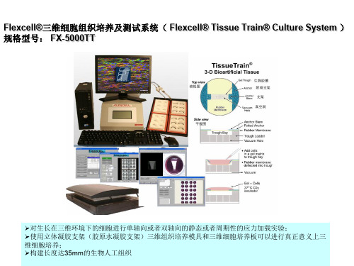 三维细胞组织培养及测试系统