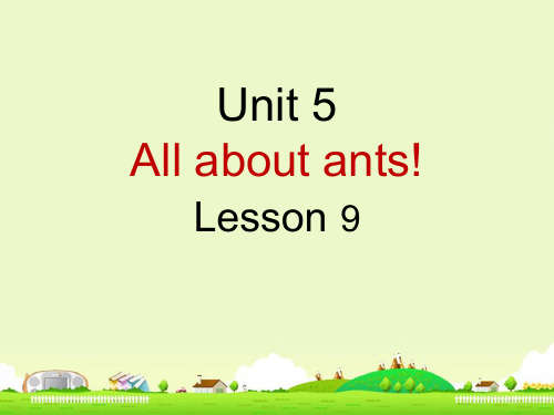 新概念青少版2AUnit5 Lesson9