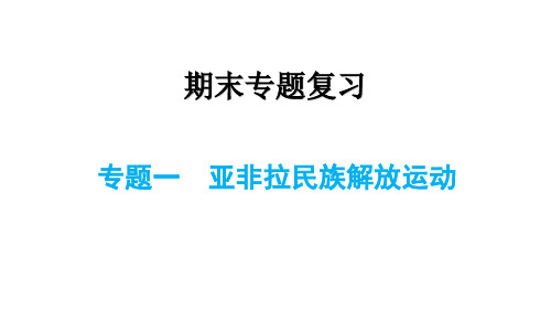 专题一 亚非拉民族解放运动-统编版历史九年级下册期末复习专题课件