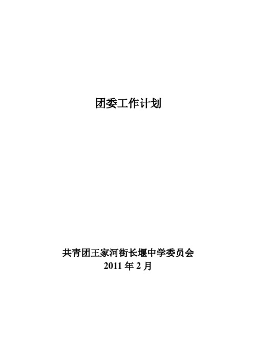 团委工作计划(11春)