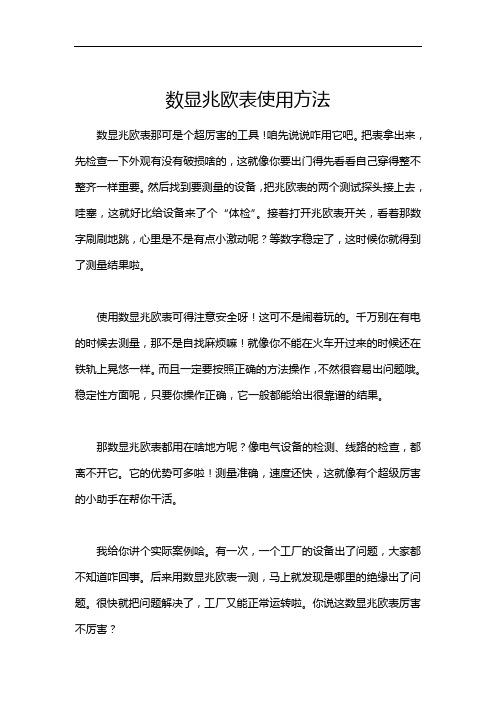 数显兆欧表使用方法