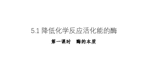 5.1 降低化学反应活化能的酶课件高一上学期生物人教版(2019)必修1(1)