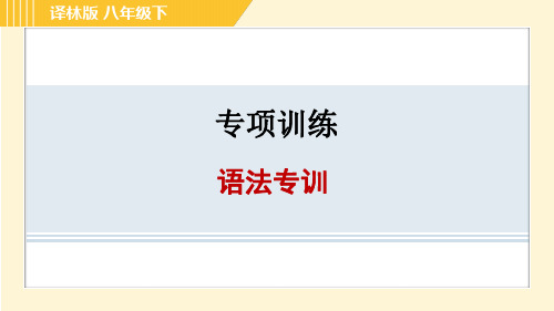 译林版八年级英语下册期末语法专训