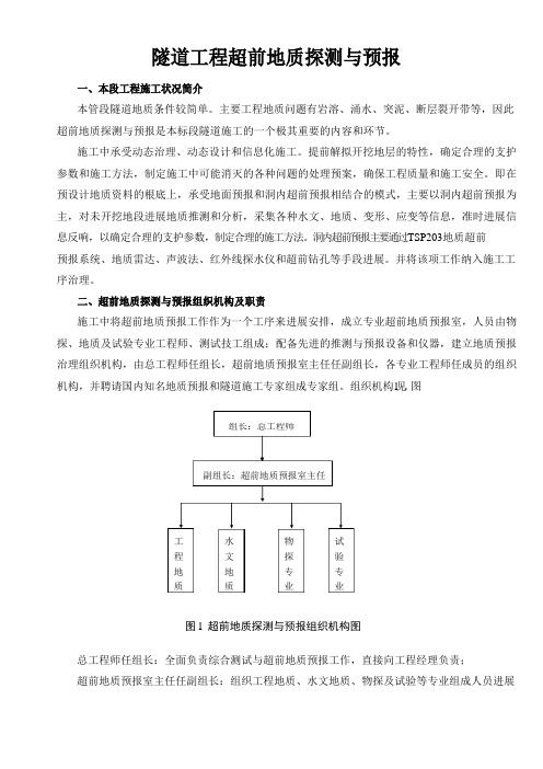 地质超前预报措施