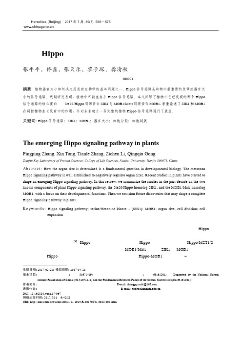 植物Hippo信号通路研究进展