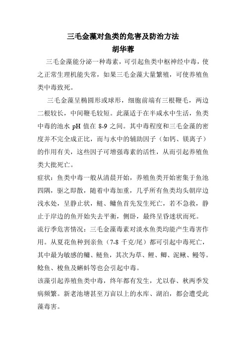 三毛金藻的危害及防治方法