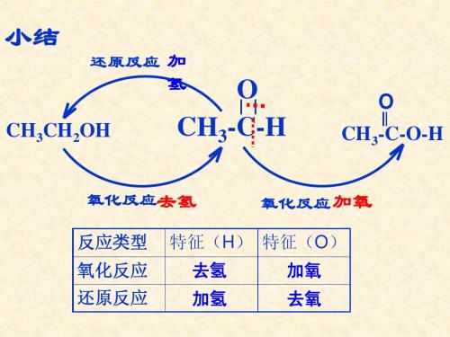 羧酸 酯(完整版)