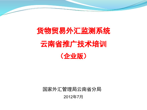 货物贸易外汇监测系统(企业版)--科技