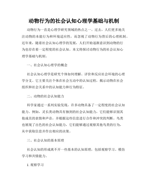 动物行为的社会认知心理学基础与机制