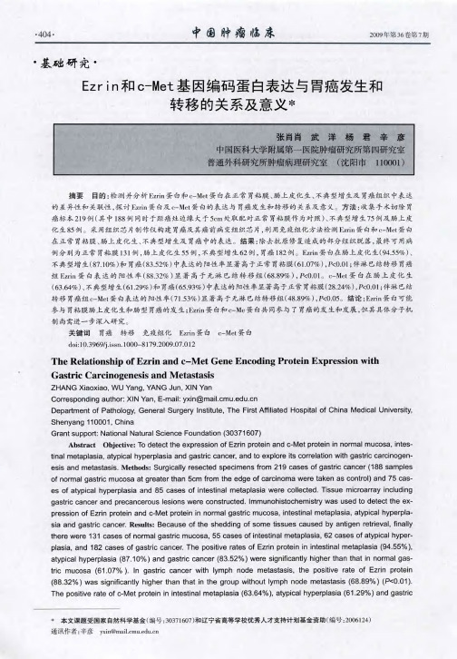 Ezrin和c-Met基因编码蛋白表达与胃癌发生和转移的关系及意义