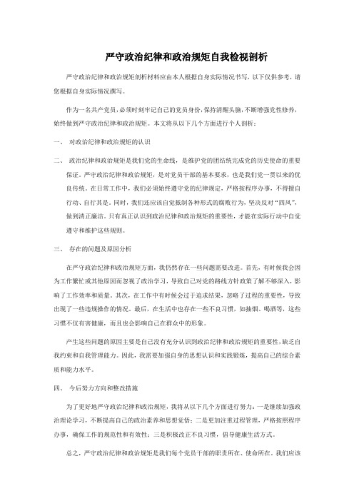 严守政治纪律和政治规矩自我检视剖析