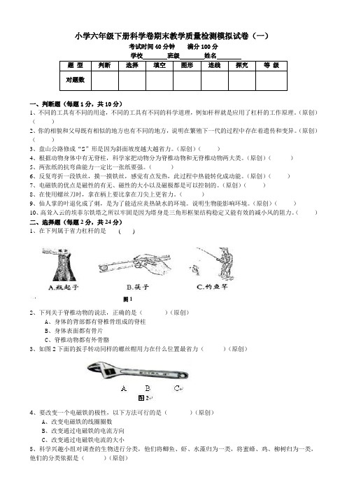 2021小学六年级下册科学试题期末教学质量检测模拟试卷(含答案)教科版(五套)