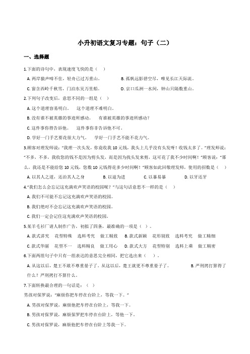 六年级下册试题--小升初语文复习专题：句子(二)(全国通用版,含答案)