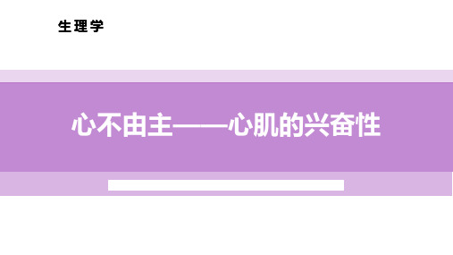 4.2.3心肌的兴奋性