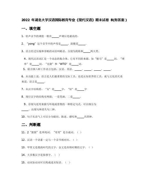 2022年湖北大学汉语国际教育专业《现代汉语》期末试卷B(有答案)