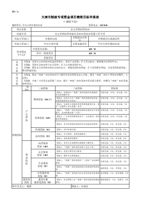 大理财政专项资金项目绩效目标申报表