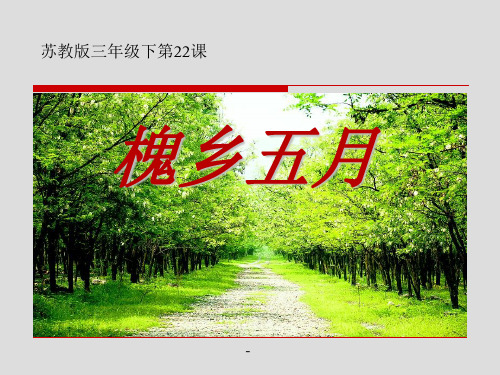 小学三年级下学期语文《槐乡五月》PPT课件