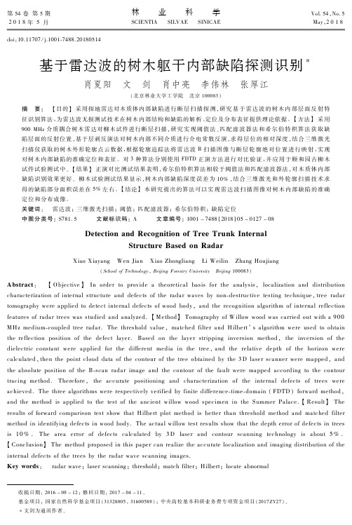 基于雷达波的树木躯干内部缺陷探测识别