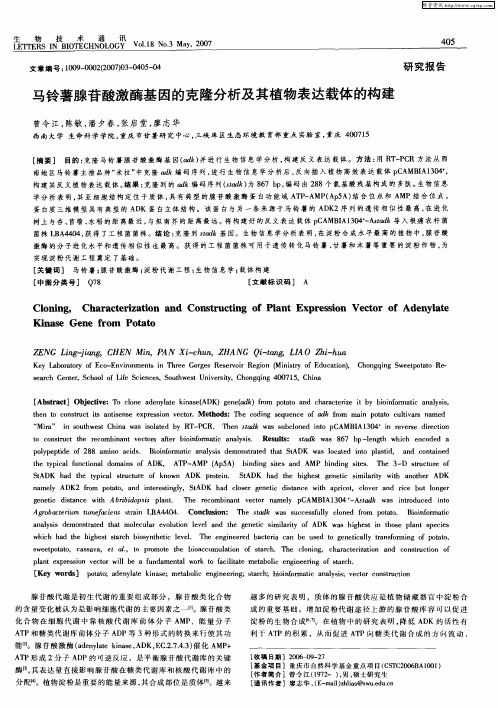 马铃薯腺苷酸激酶基因的克隆分析及其植物表达载体的构建