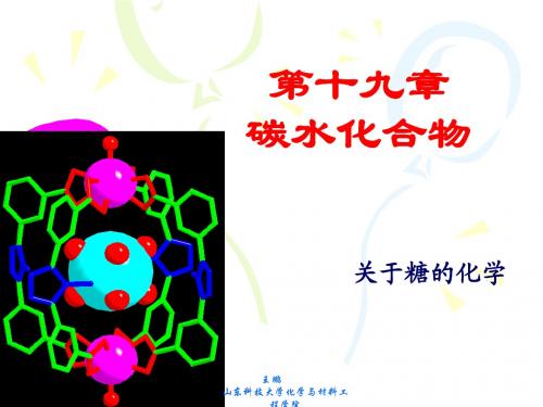 有机化学第十九章碳水化合物