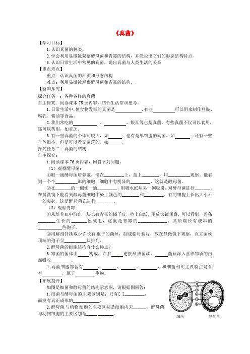 八年级生物上册 第五单元 第四章 第三节《真菌》学案1 (新版)新人教版