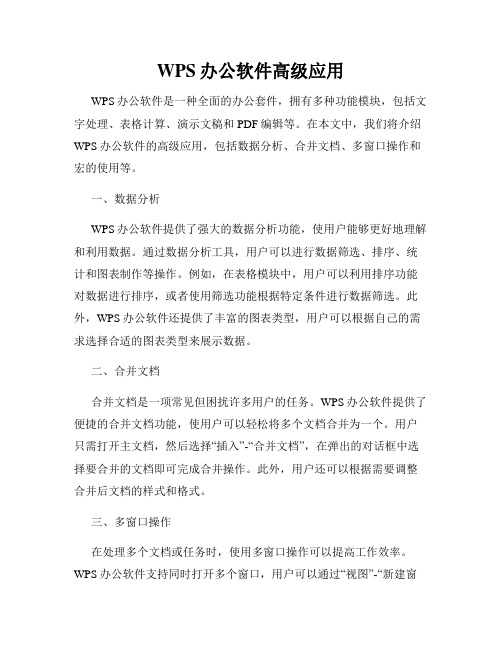 WPS办公软件高级应用