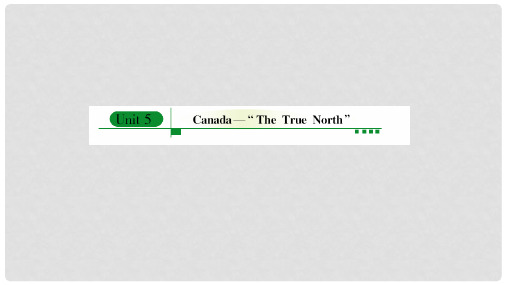 高考英语 Unit 5 CanadaThe True North课件 新人教版