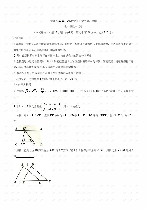 盘龙区2018 -2019学年下学期期末检测 七年级数字试卷含答案