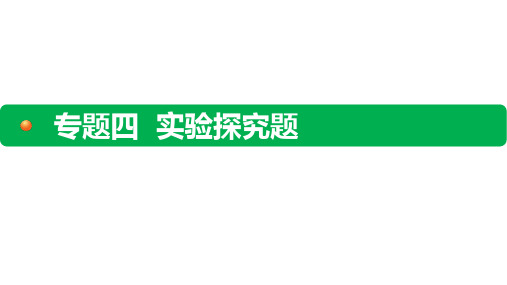 4-2专题四 实验探究题 类型2 探究型实验题