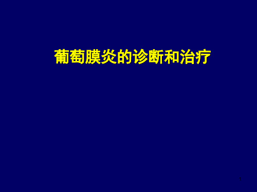 葡萄膜炎的诊断和治疗杨倍增PPT精选课件