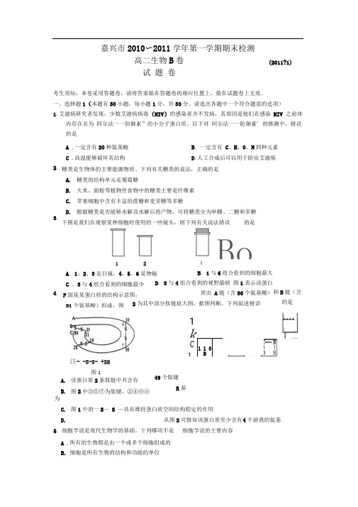 浙科版生物必修1(期末)word同步测试题二