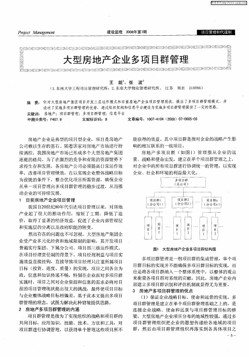 大型房地产企业多项目群管理