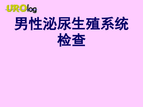 男生殖系统检查-ppt诊断学课件