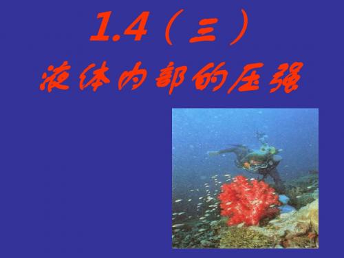 初中物理《液体内部的压强》(共14张)ppt9