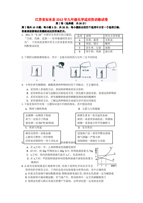 江苏省如东县九年级化学适应性训练试卷