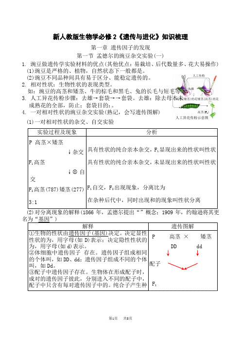 人教版高中生物必修第2册 第1章 遗传因子的发现-【必背知识】(填空版)