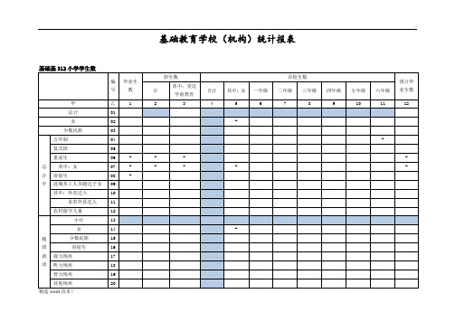 基础教育学校(机构)统计报表