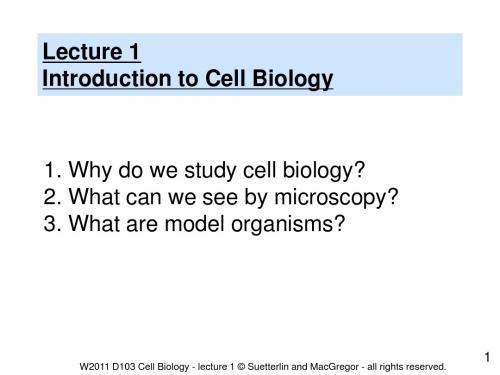 国外大学细胞生物学课件-英文1bioy