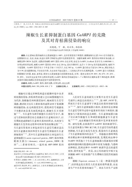 辣椒生长素抑制蛋白基因CaARP1的克隆及其对青枯菌侵染的响应