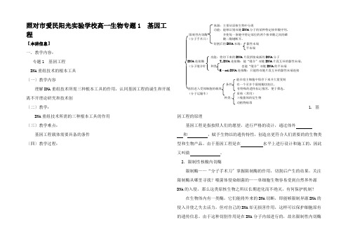 高一生物专题1基因工程知识点分析