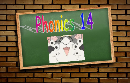 自然拼读phonics C14